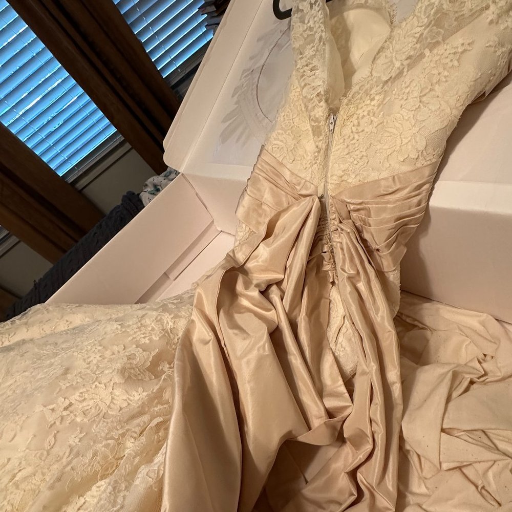 Gloriously lacy Size 8 Wedding Dress (with petticoat)